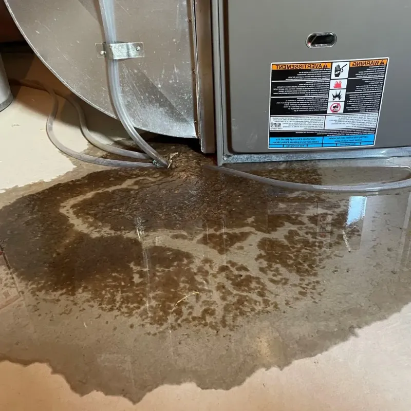 Pipe Burst and Leak Restoration in Harleysville, PA